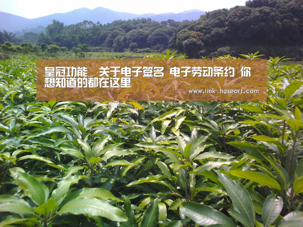 皇冠体育网址