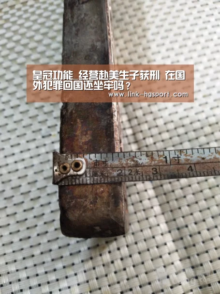 皇冠功能_经营赴美生子获刑 在国外犯罪回国还坐牢吗?(图3) 皇冠体育官网
