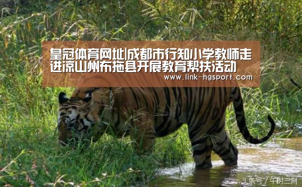 皇冠服务