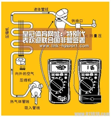 皇冠功能