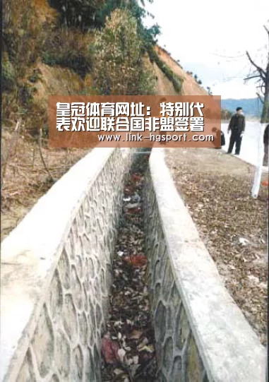 皇冠体育官网