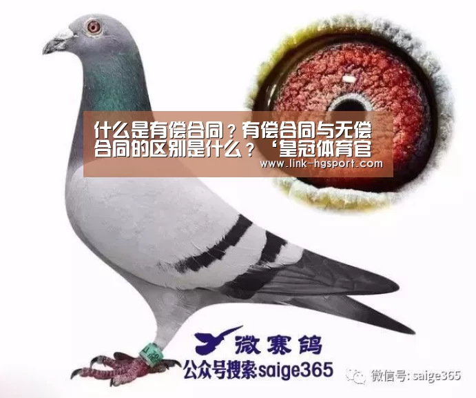 皇冠功能