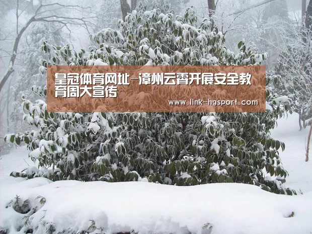 皇冠功能