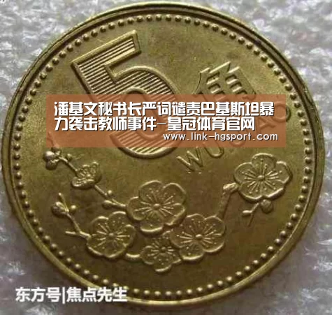 潘基文秘书长严词谴责巴基斯坦暴力袭击教师事件-皇冠体育官网(图4) 皇冠体育网址